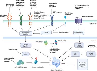 Targeted therapies for the treatment of soft tissue sarcoma